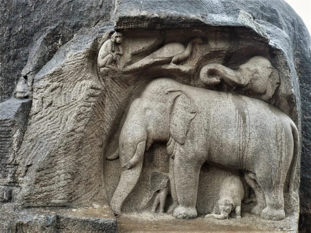 symbolism animal cultures